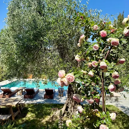 Escondida Bed & Breakfast