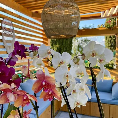 Escondida Couette-café Nice