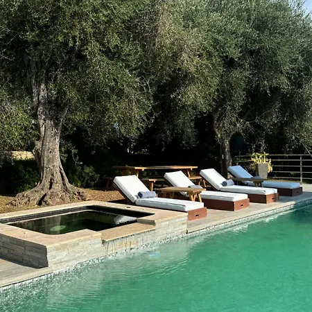 Bed & Breakfast Escondida Nice